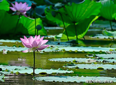 为人生创制新能像平行的铁轨那样