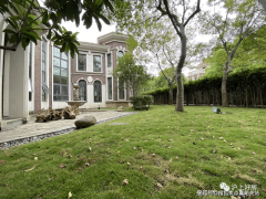 海扶植成全球科创核心